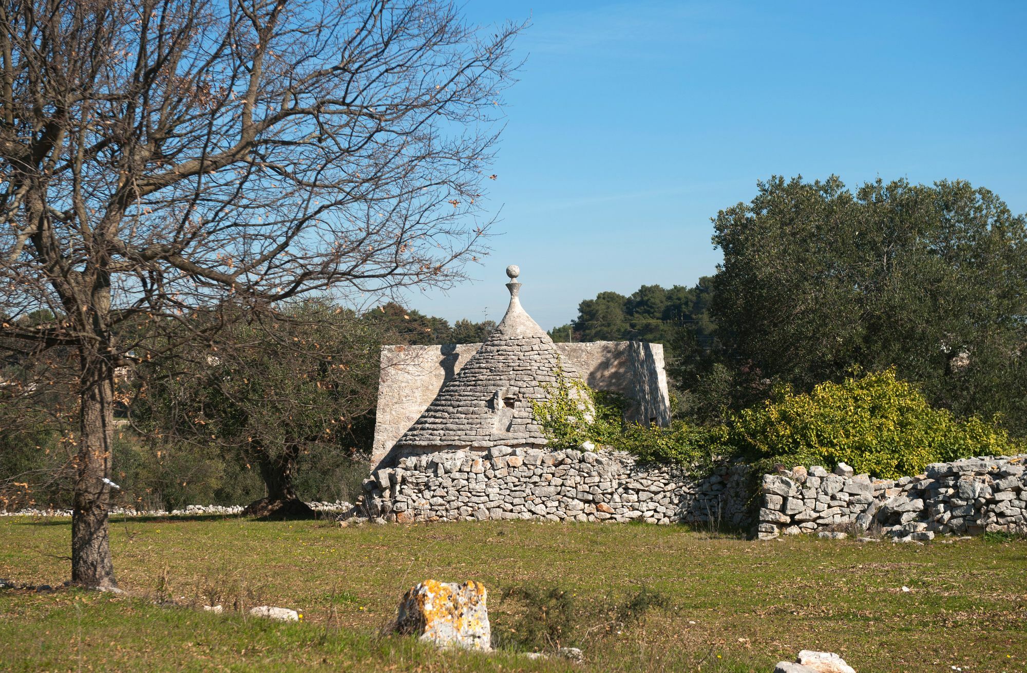 Agriturismo Masseria Calongo Cisternino Exterior foto